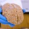 Brain Freeze: Welcome to the Country’s Largest Brain Collection
