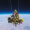 Launching Flowers Into Outer Space