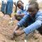 Ending Malnutrition in Tanzania, Starting at School