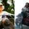Ride with these Four Motorcycle Stories