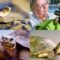 Turtles and Tortoises: Stories of Our Friends in Shells