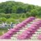 Float Through Japan’s Floral Fairytale Wonderland