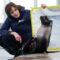 What Life is Like as a Seal Whisperer