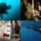 Life in the Most Extreme Places on Earth