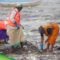 The Man Clearing 9,000 Tons of Trash From Mumbai’s Beaches
