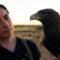 The Female Falconers Rewriting Tradition