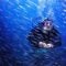 Oceanic Trouble? Summon These Aquanauts! | That’s Amazing