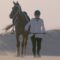 The Endurance Horse Rider of Dubai