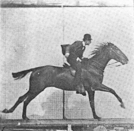 eadeaward muybridge horse galloping