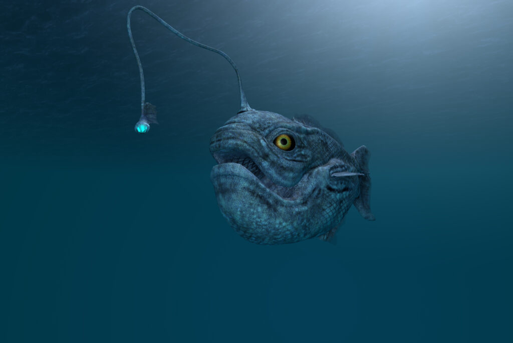 deepest fish in the sea