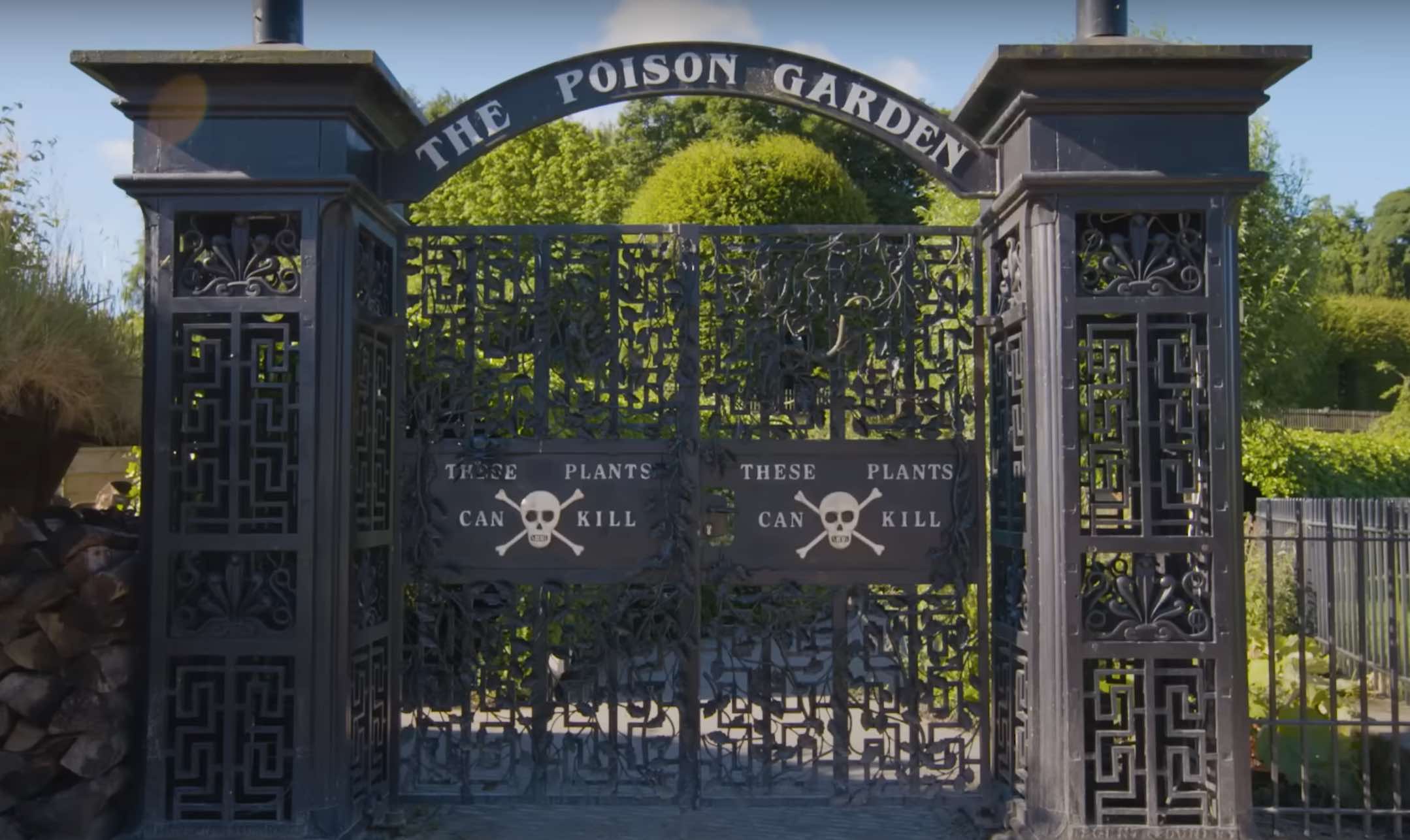 Step inside the world’s deadliest garden Great Big Story